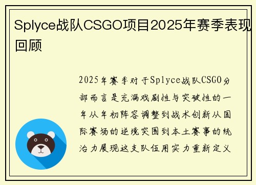 Splyce战队CSGO项目2025年赛季表现回顾